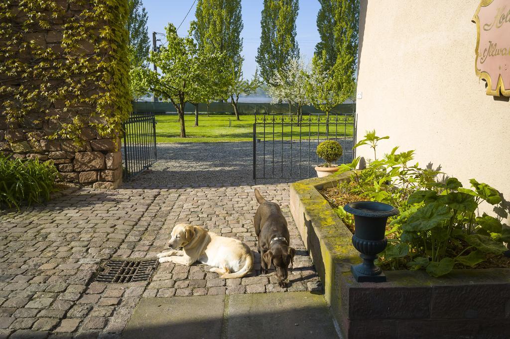 Hotel Restaurant De L'Illwald Selestat Exterior photo